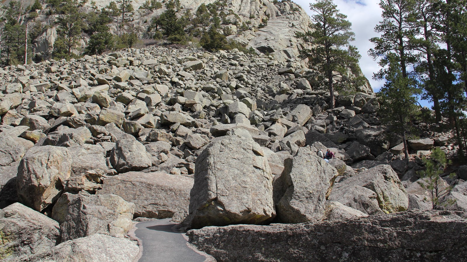 a field of boulders with a paved bath winding through, the base of Devils Tower in the background