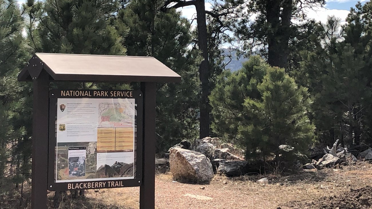 Photo of the Blackberry Trailhead with information sign on the left and pine trees behind it.