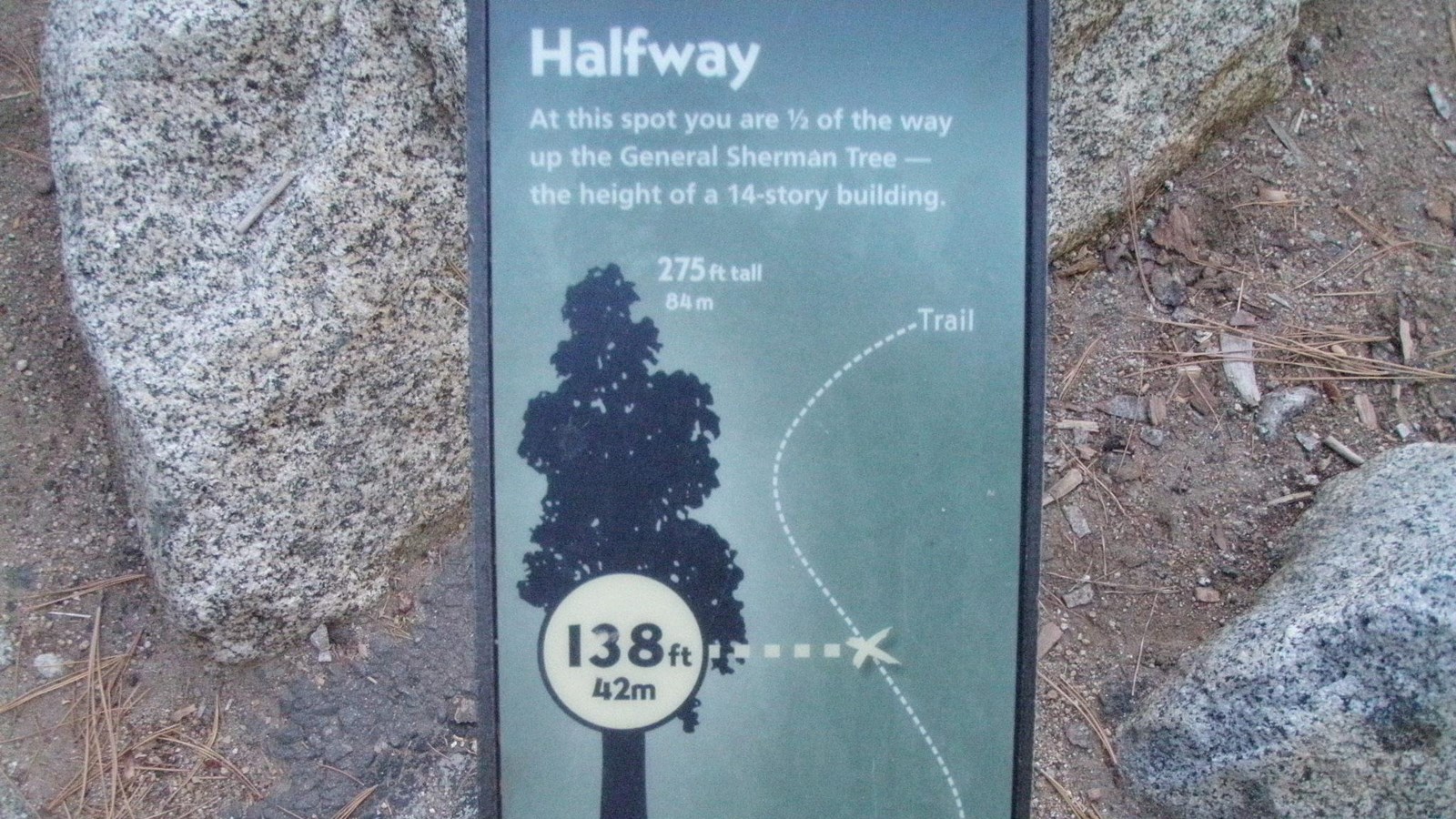 Green sign showing where you are in relation to the height of the General Sherman Tree.