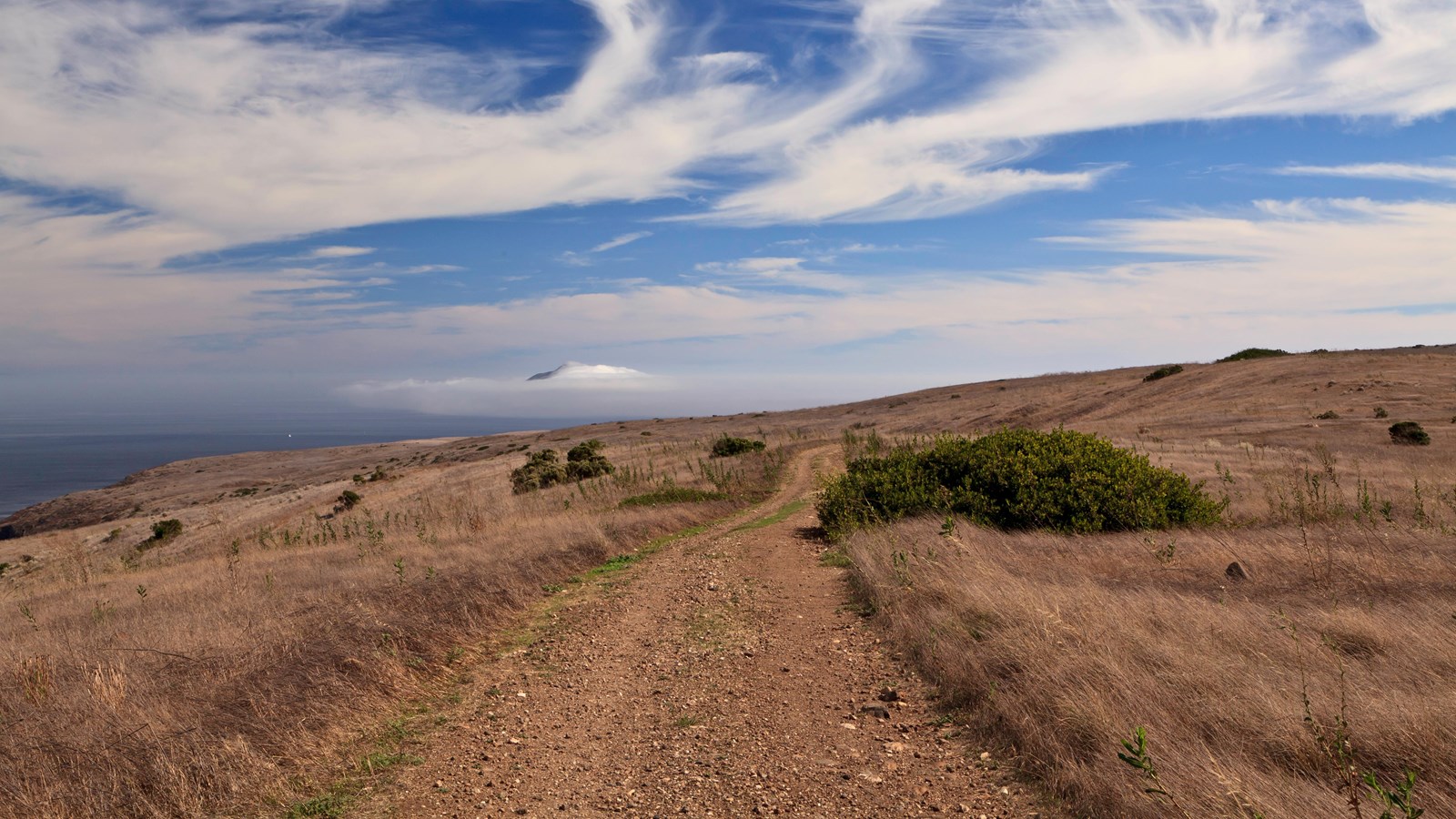 Dirt road through dry grass with ocean and island on horizon.