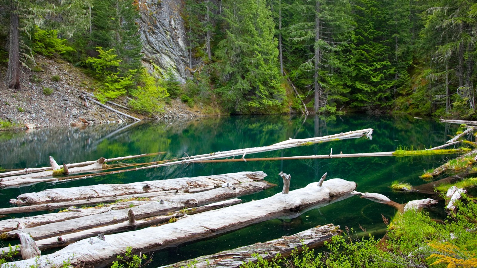 A small, blue lake with logs floating in it