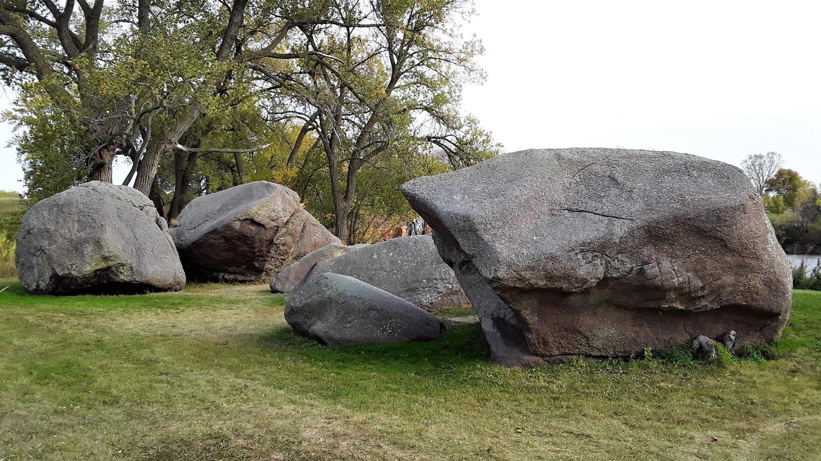 Cluster of giant boulders in a cluster on grass next to a tree