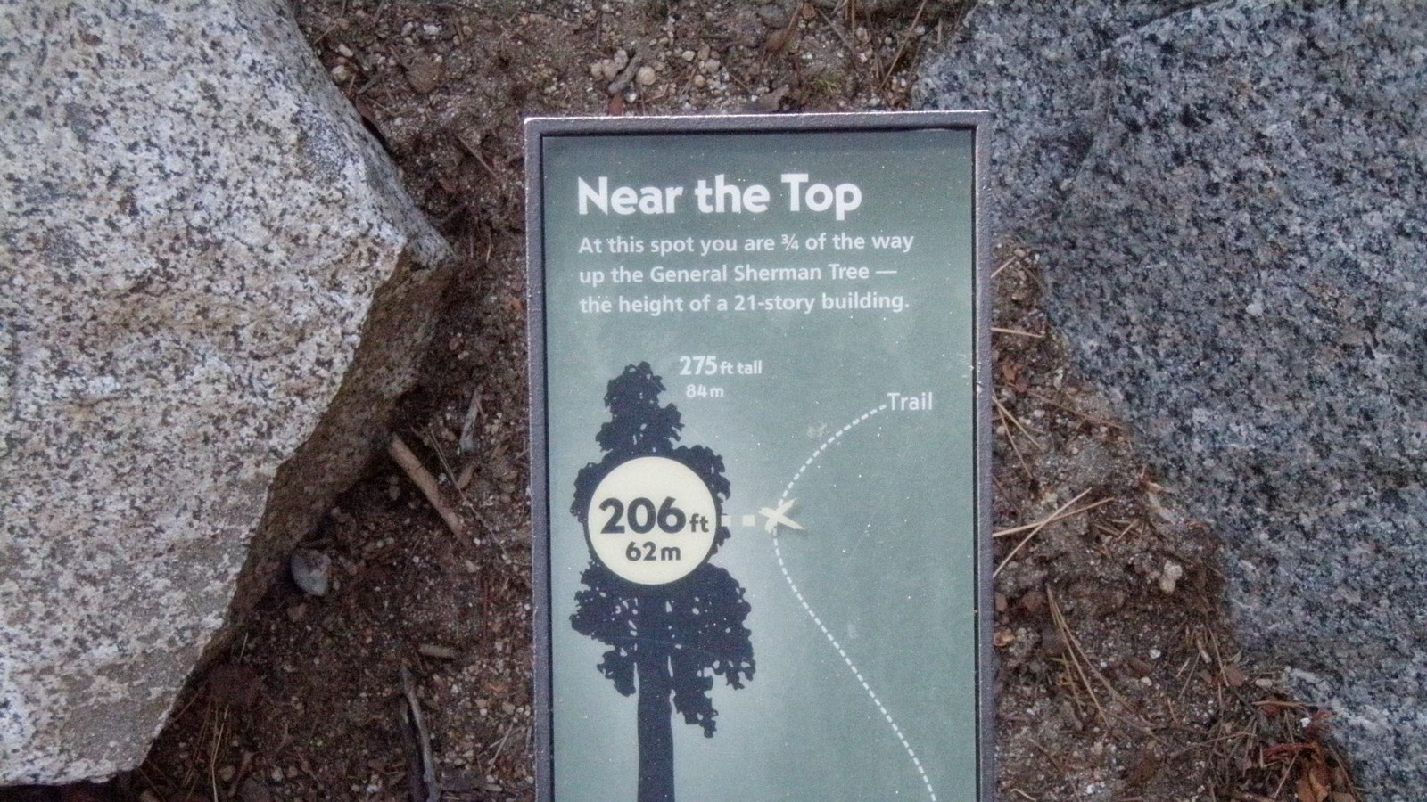 Green sign showing your relationship to the height of the General Sherman Tree.