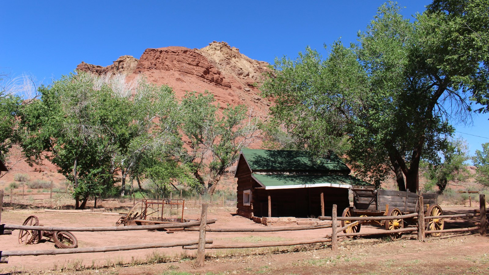 One story log cabin surrounded by large trees.