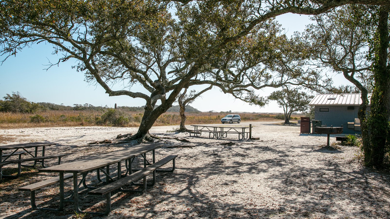 Picnic tables and trees stand in a wide open group campsite.