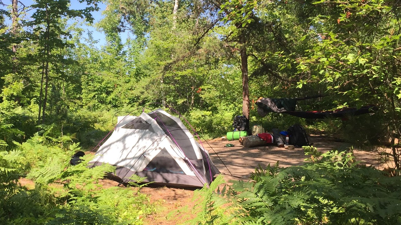 Small tent set up a wooded backcountry campsite