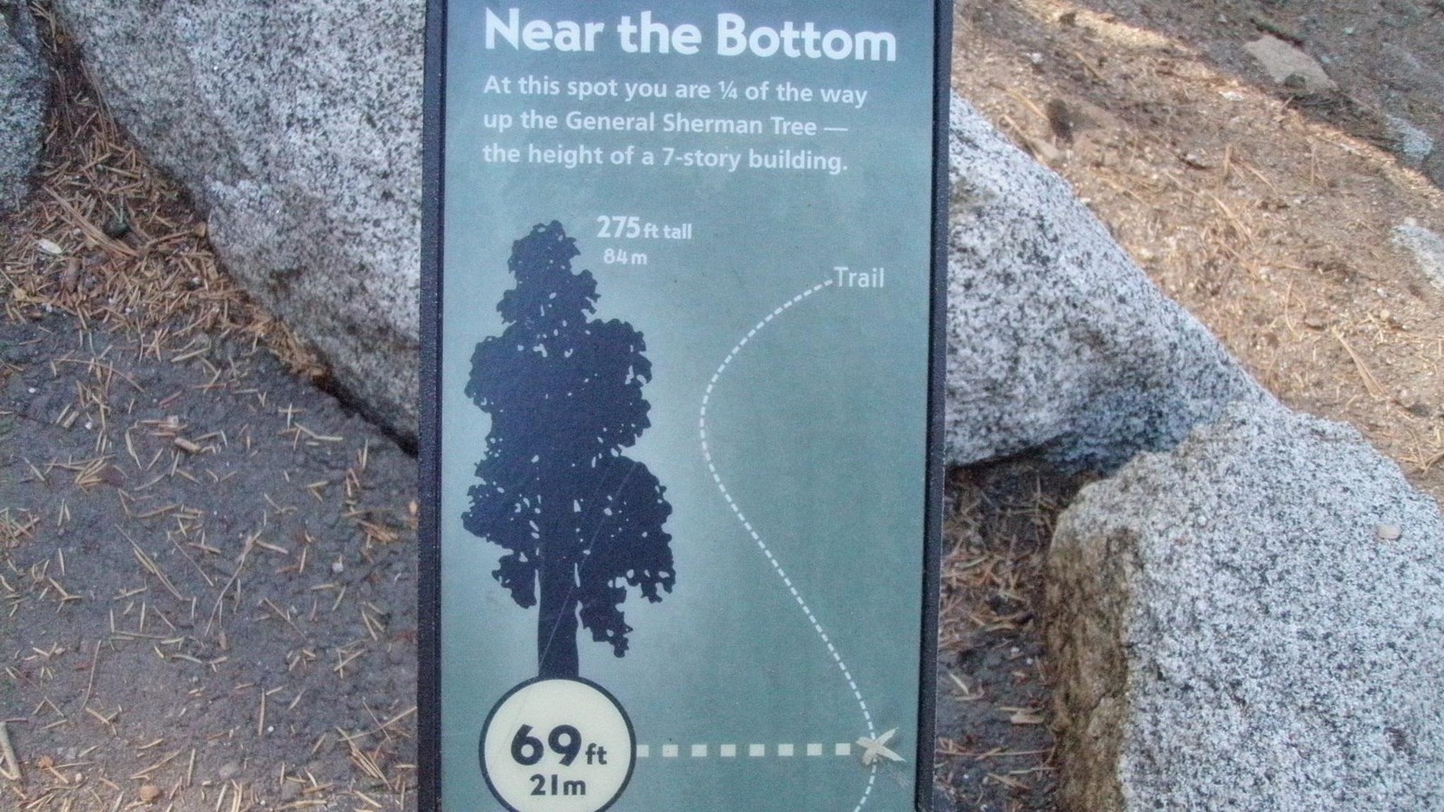 Green sign showing your location in relation to the height of the General Sherman Tree. 