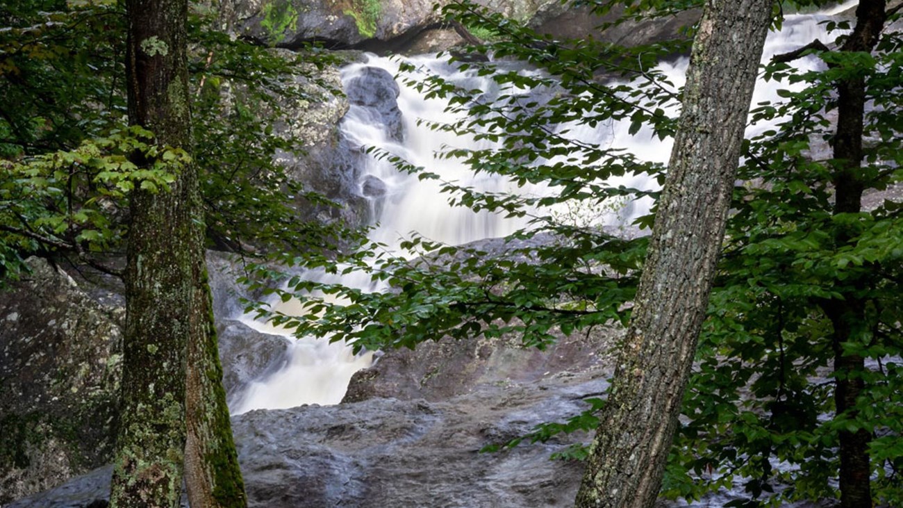 A white, cascading waterfall flowing through boulders in a forest.