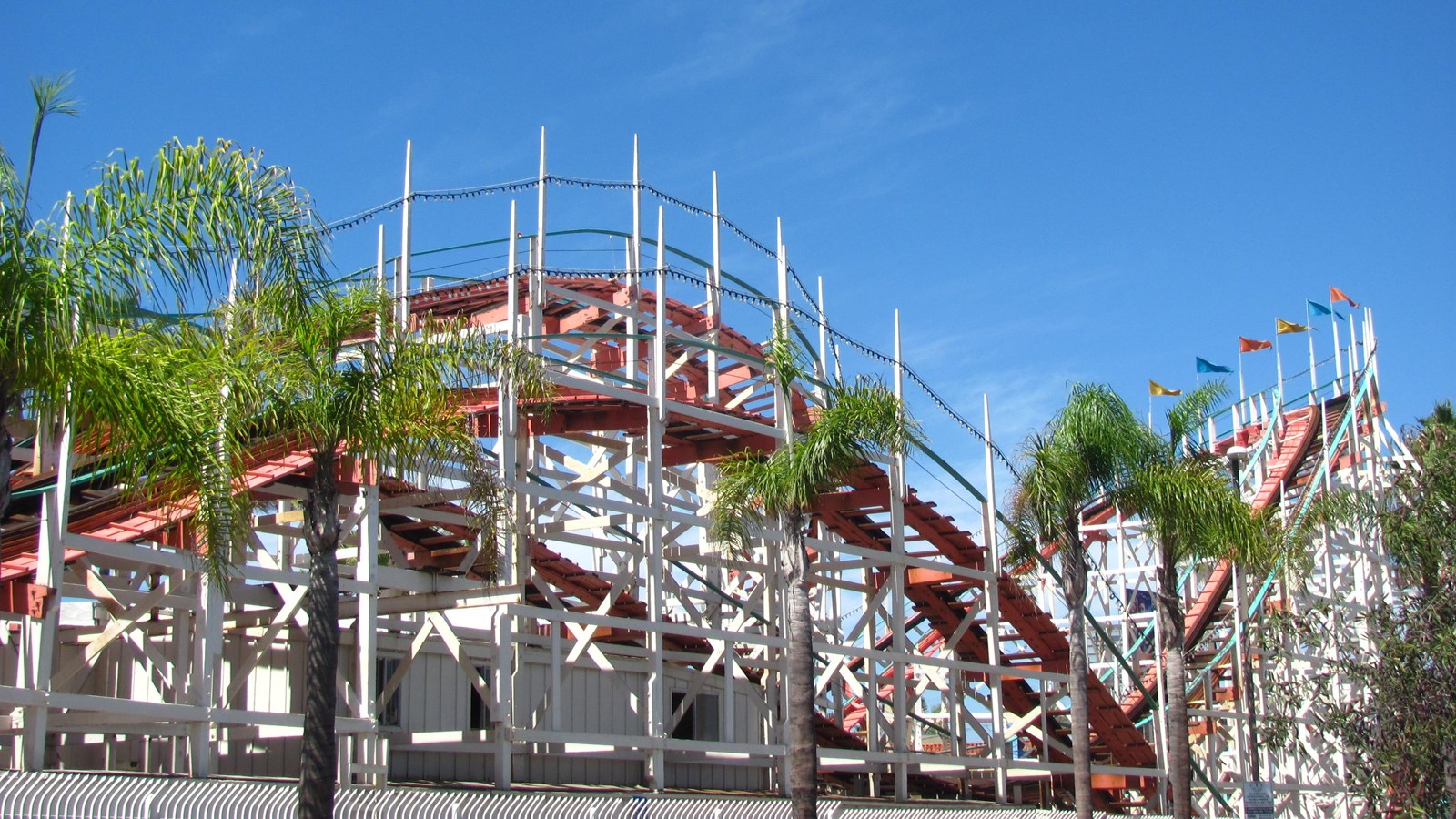 White wooden rollercoaster with red tracks surrounded by palm trees
