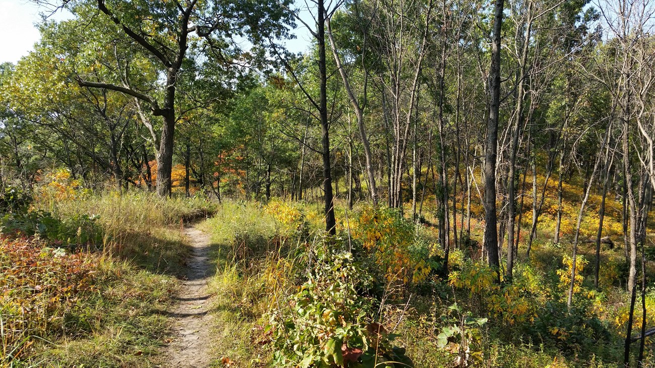 Hiking the Dunes