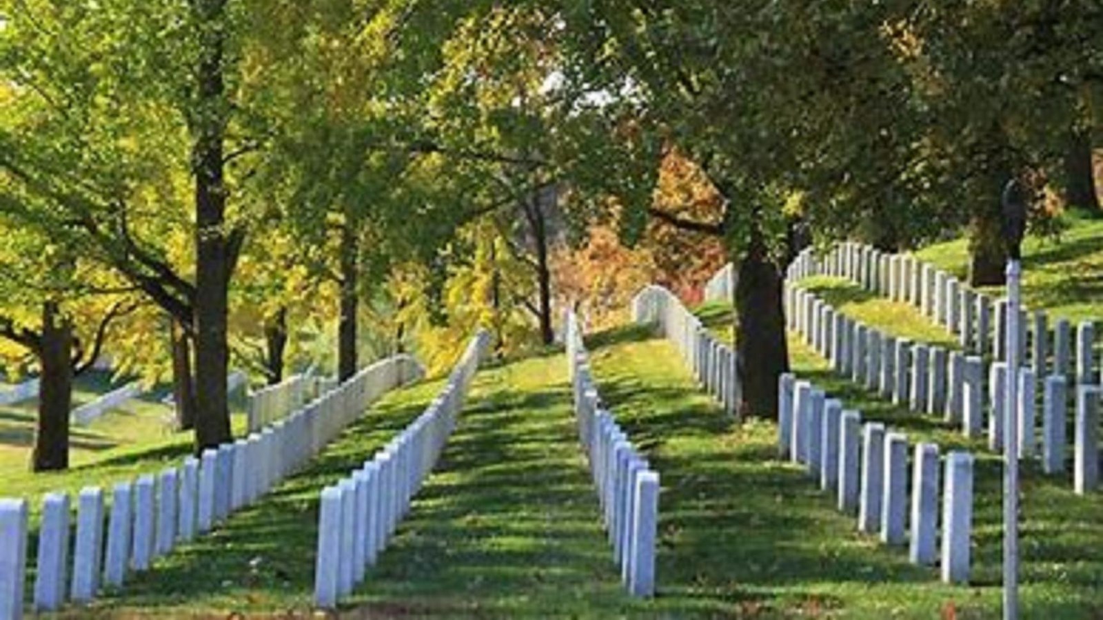 Gray gravestones in lines going across grassy area with trees spread out. 