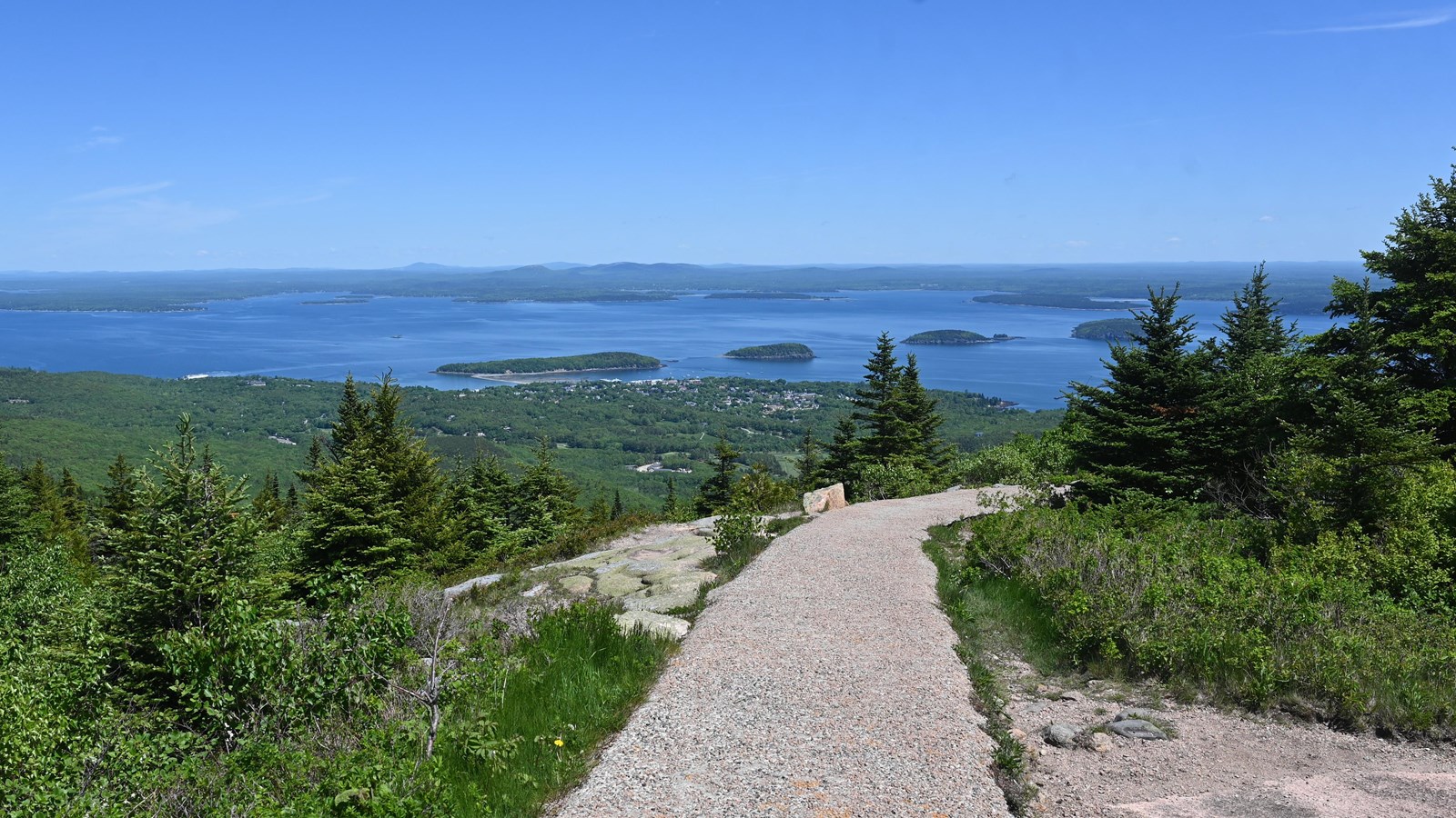 Paved walkway, surrounded by spruce trees, with a vast view of a harbor with small islands.