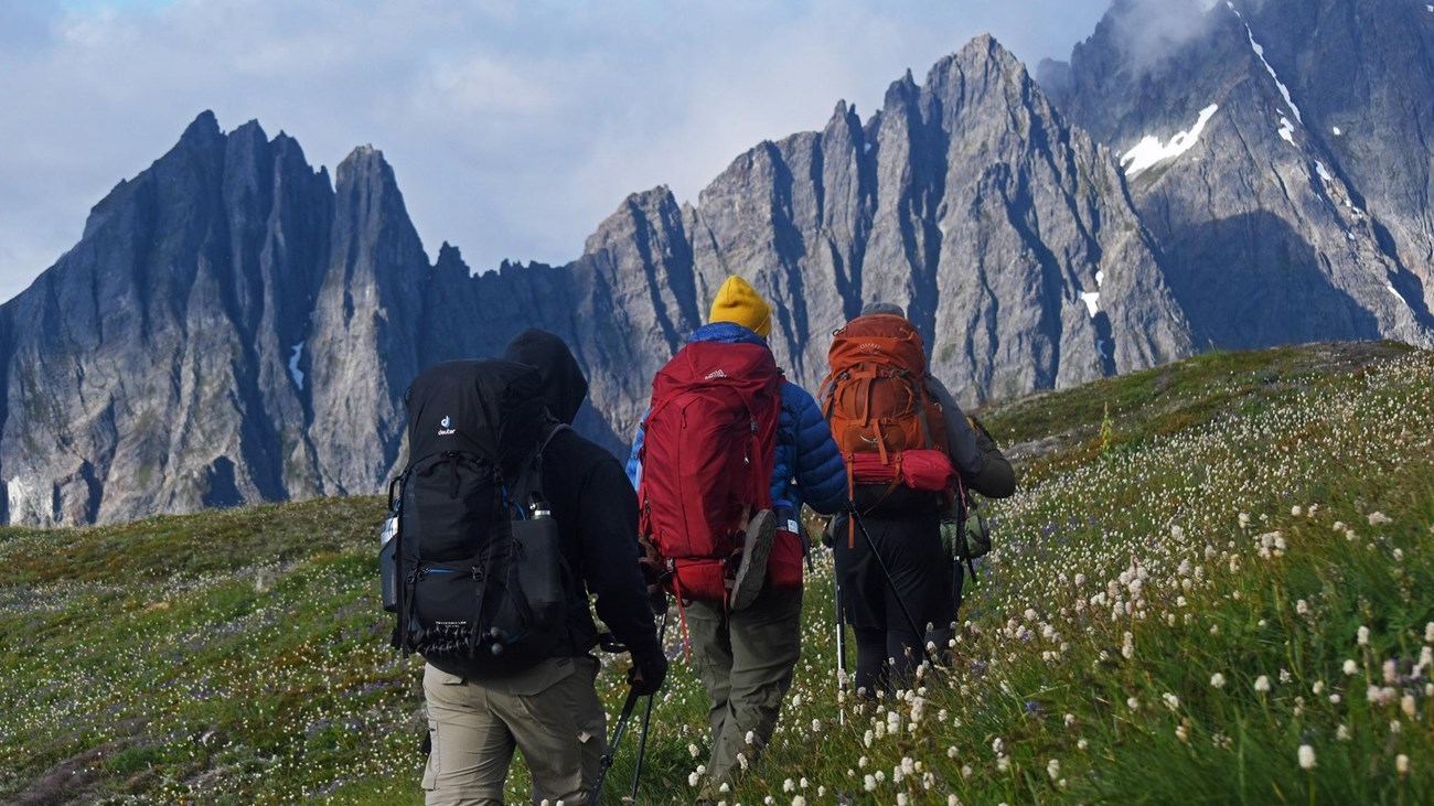 Three backpackers hike through a meadow with mountains in the distance.
