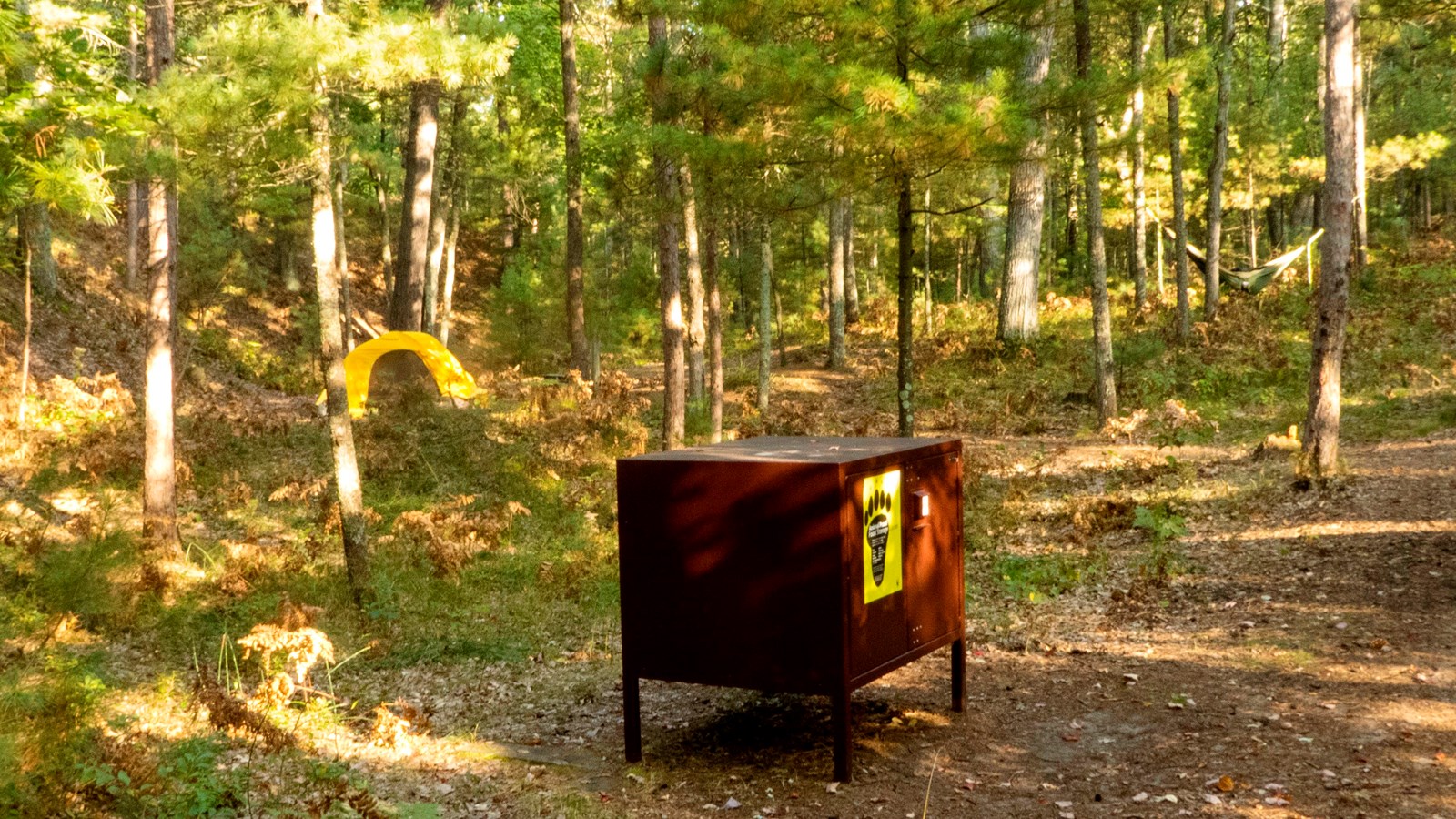 Brown metal box on short legs with yellow sign on front surrounded by pine trees