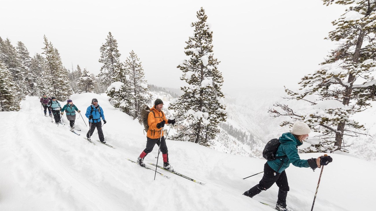 A group of skiers travel on a trail along the edge of a snow-covered canyon.