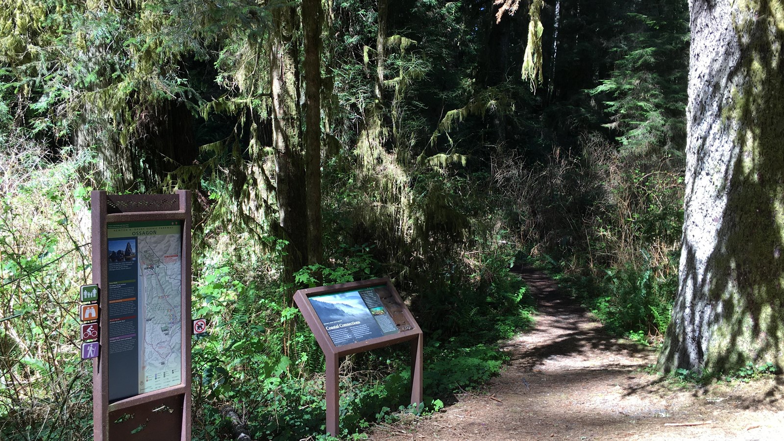 Two informational signs at the start of a trail. Redwoods line the side of the trail.