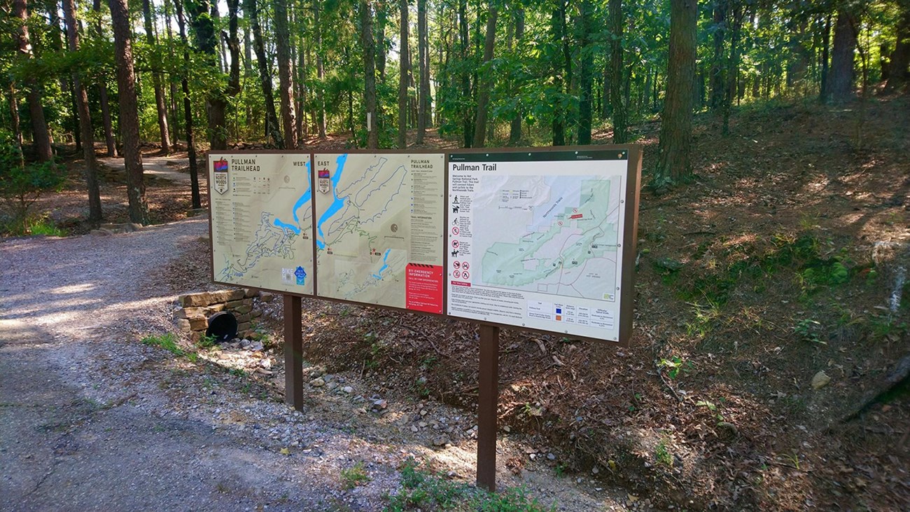 Three trail head signs line the front of a trailhead that leads into the forest.