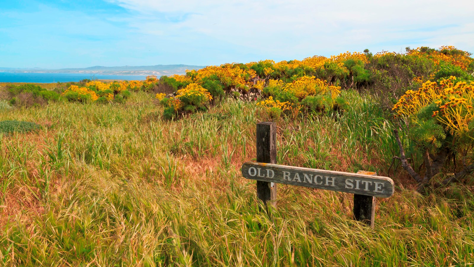 Along the trail at the Lester Ranch Site is of rubble and a wooden sign with white lettering.