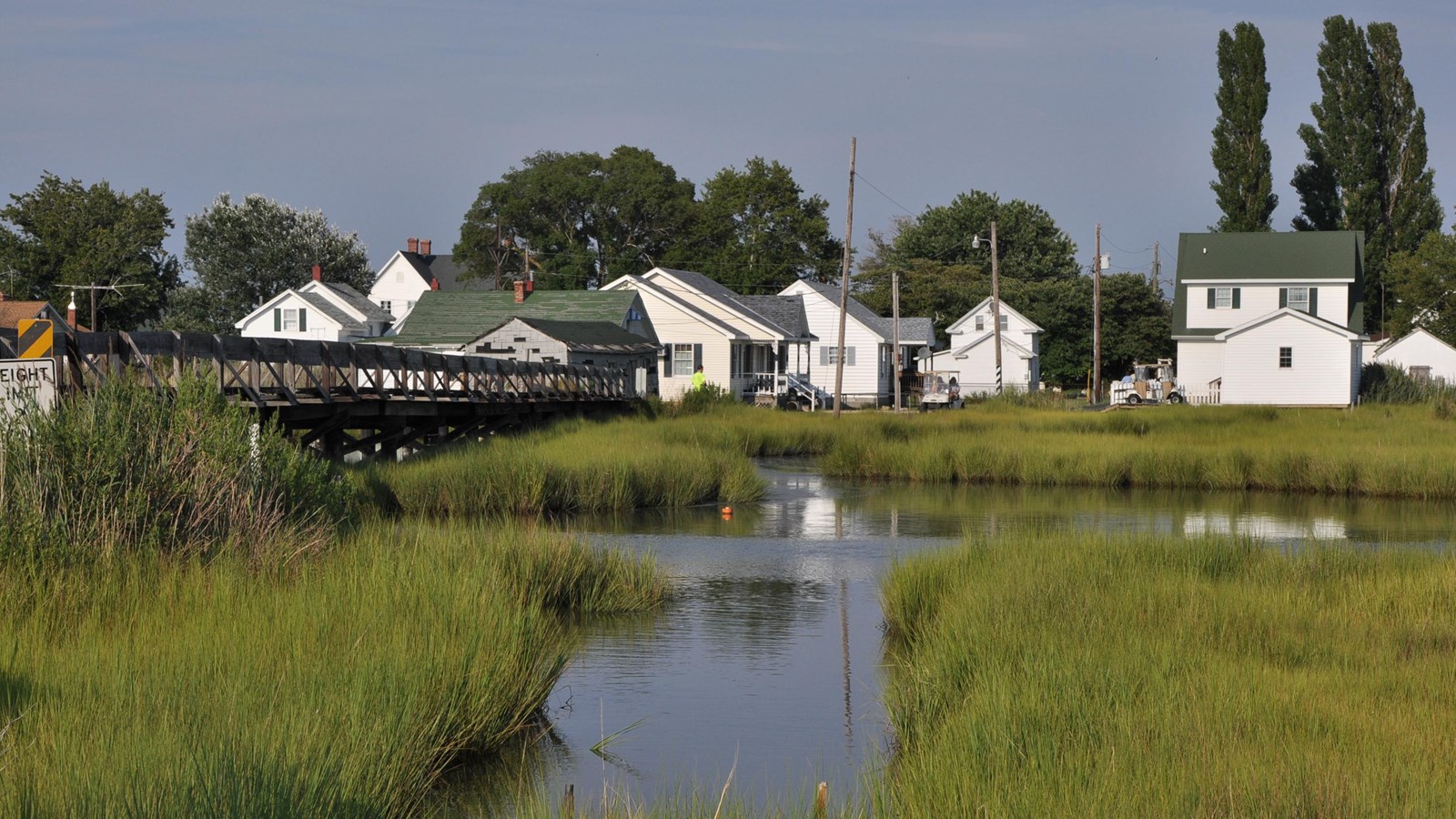 A small group of homes on Tangier Island rise above the marsh waters below.