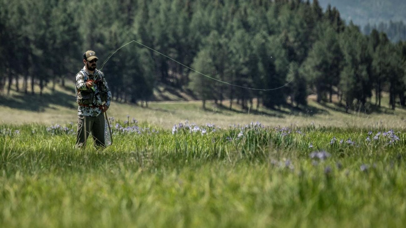 An angler casting a fly-fishing line toward a stream meandering through a grassland.