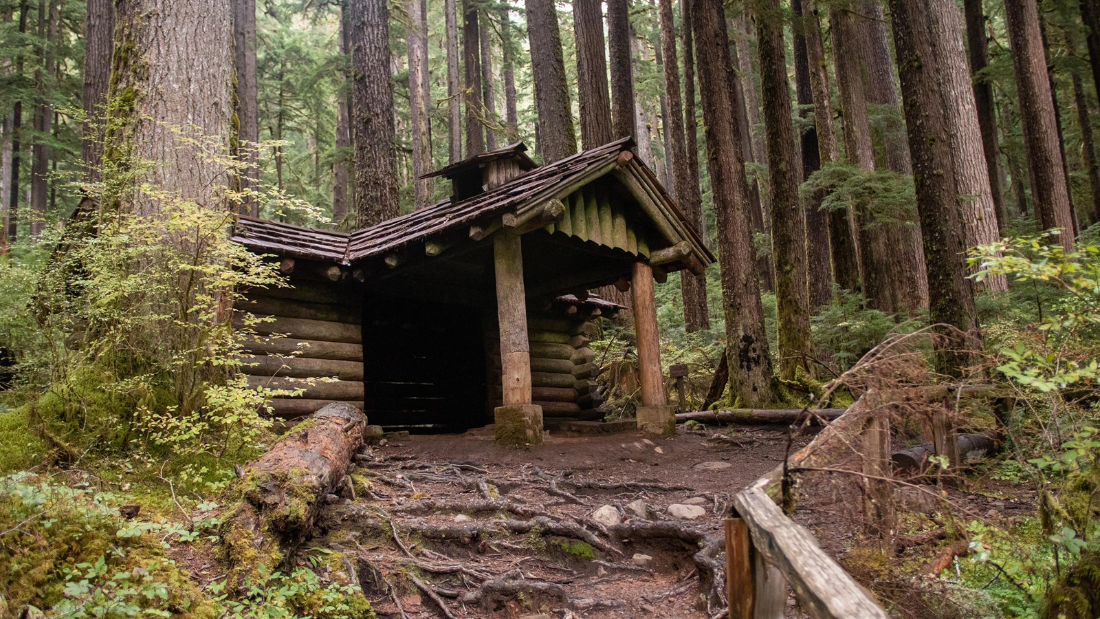 A path with a railing and many tree roots across it leads up to a log cabin.