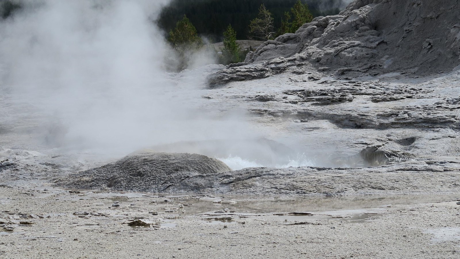 Steam rises from a hot spring surrounded by bumpy rocks in a geyser basin.