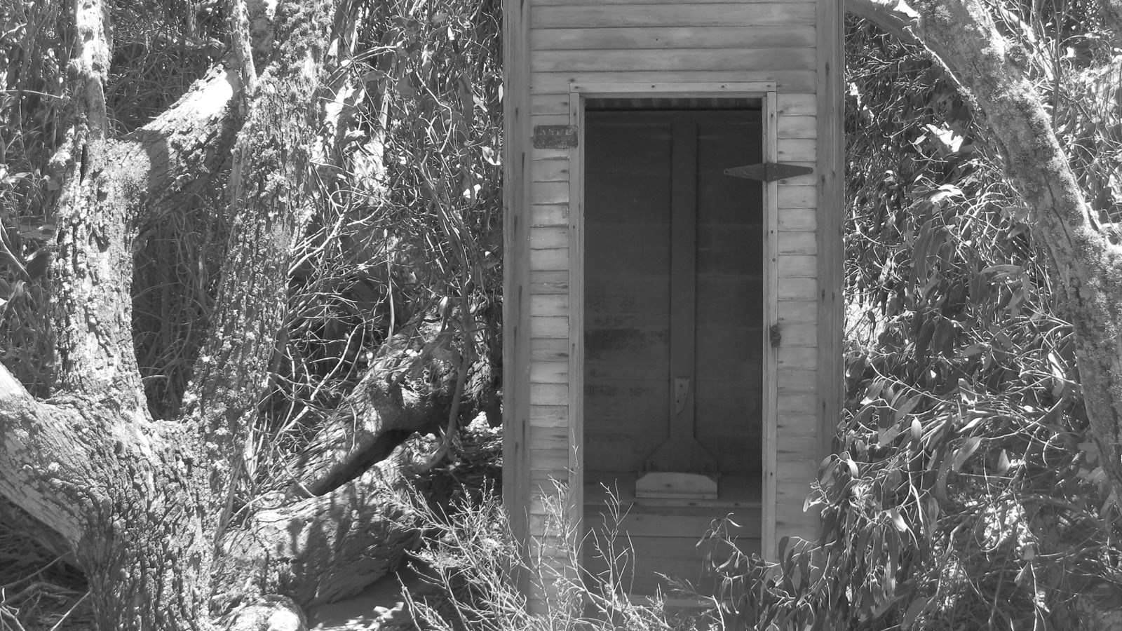 small wood building with open doorway surrounded by trees.