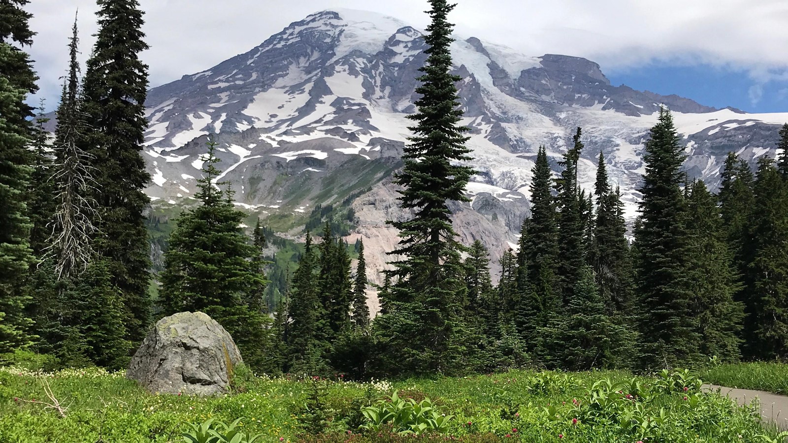 A meadow of lush plants with a large boulder framed by fir trees underneath a glaciated mountain.