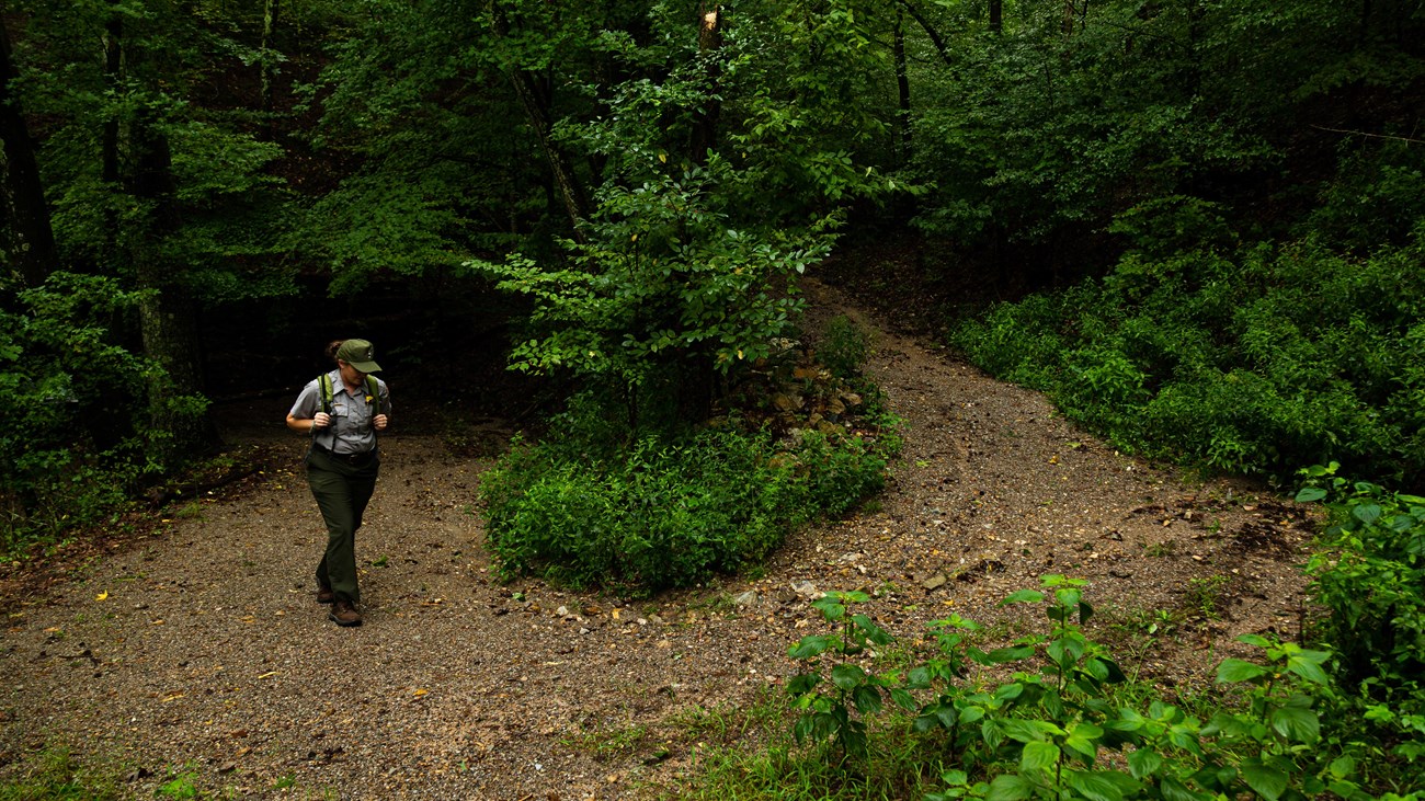 A ranger in uniform walks up the curved trail through the forest.