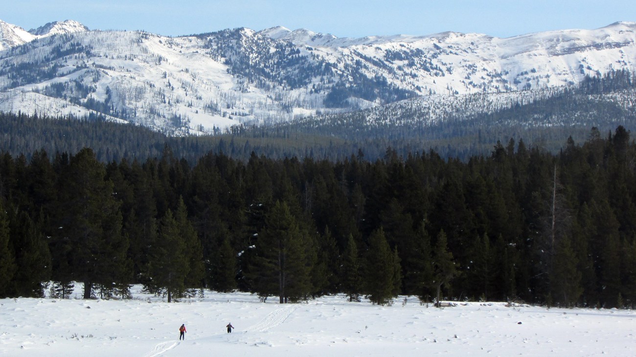 Two skiers are dwarfed by the landscape of forests and moutains in the distance.