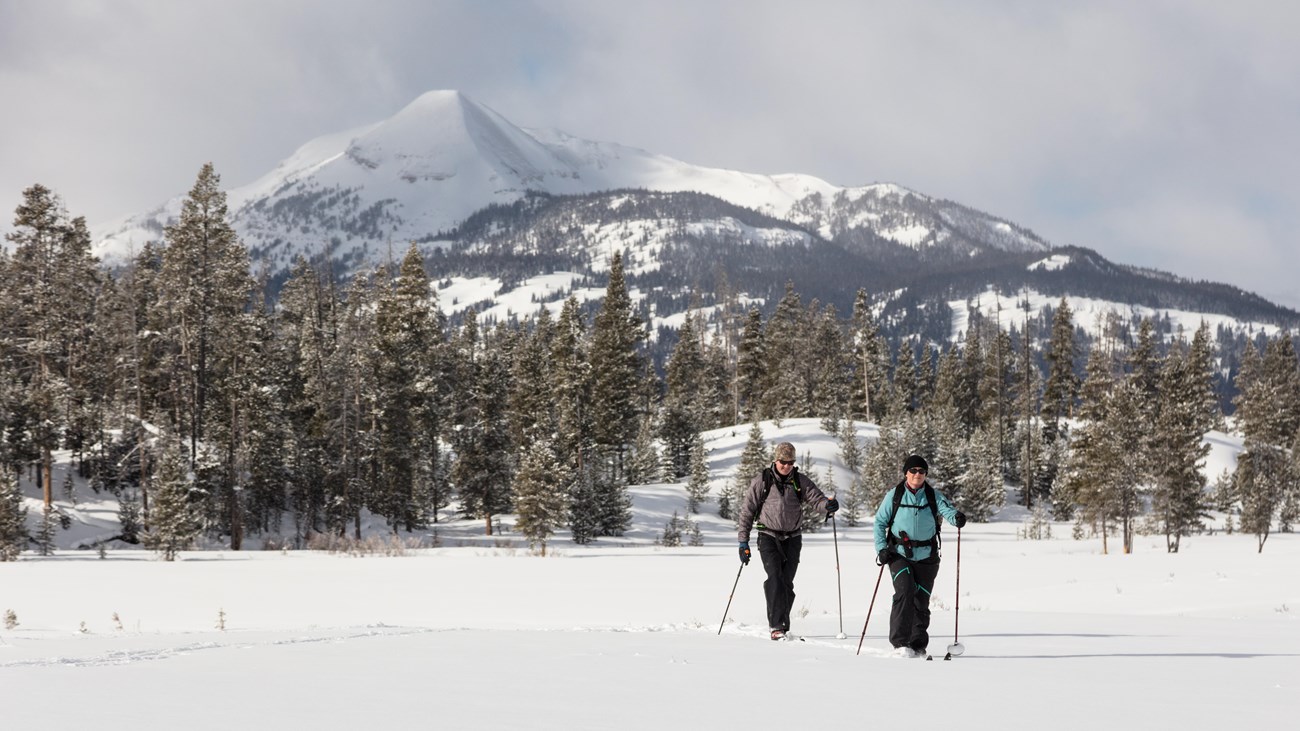 Two skiers travel across a flat meadow with mountains in the distance.