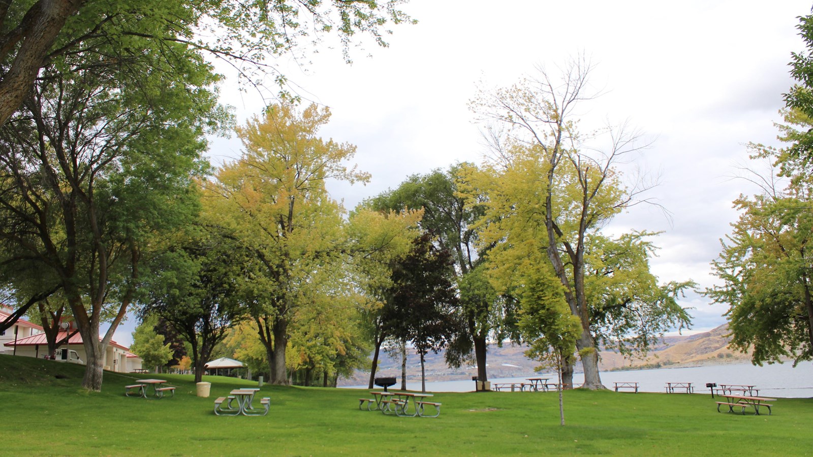 A large grassy area adjacent to the lakeshore has picnic tables, grills, and a large picnic shelter.