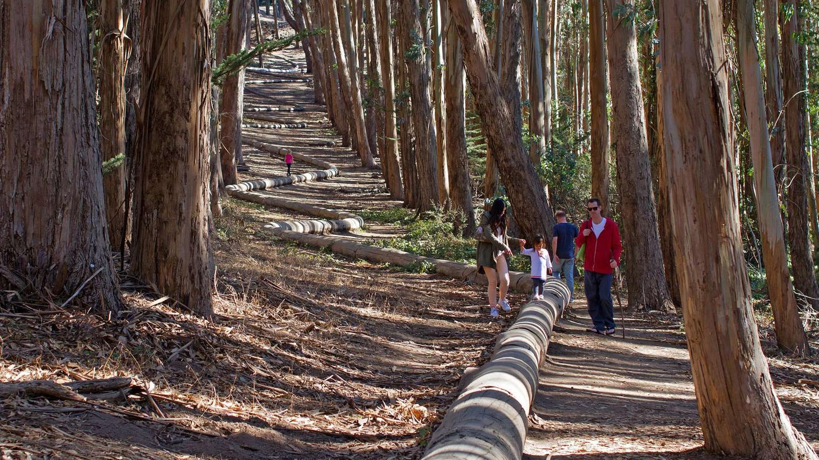 A family walks the Wood Line in the Presidio.