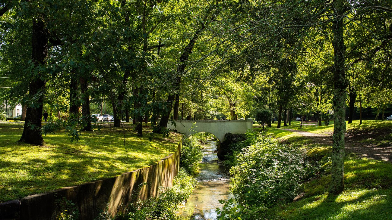 A white foot bridge crosses over a small creek amidst a vibrant open park with tall trees.