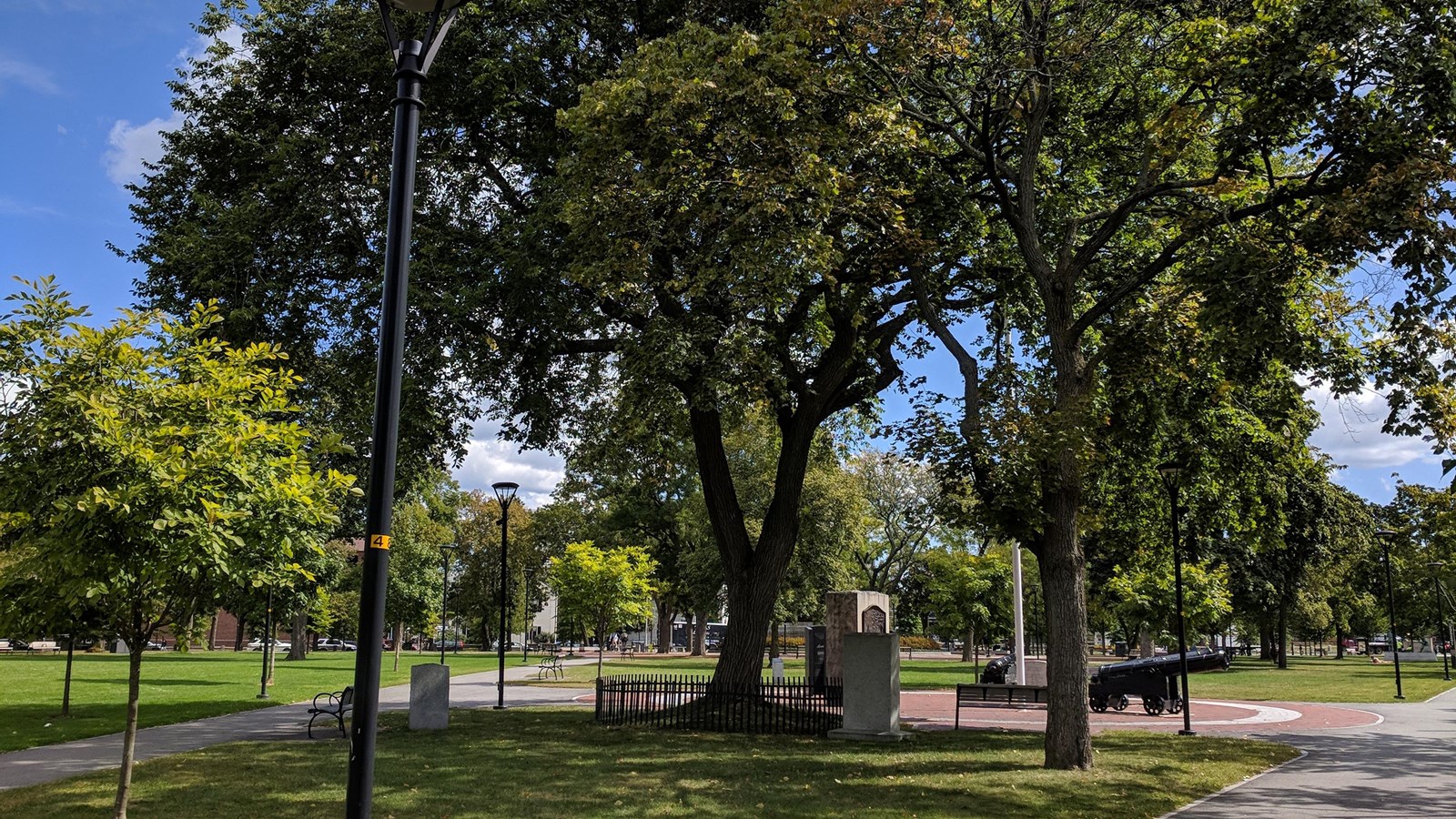 Tree with green leaves on lawn between paths. Brick plaza with cannon and markers behind tree.