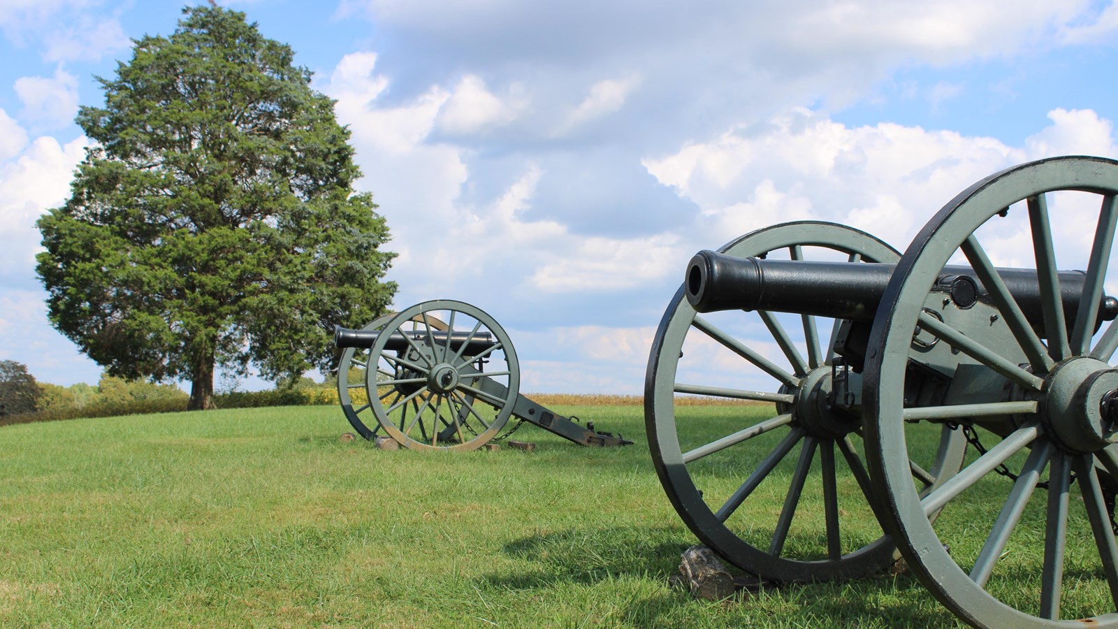 Two cannons located on a green hill with a tree in the background and blue sky with clouds.