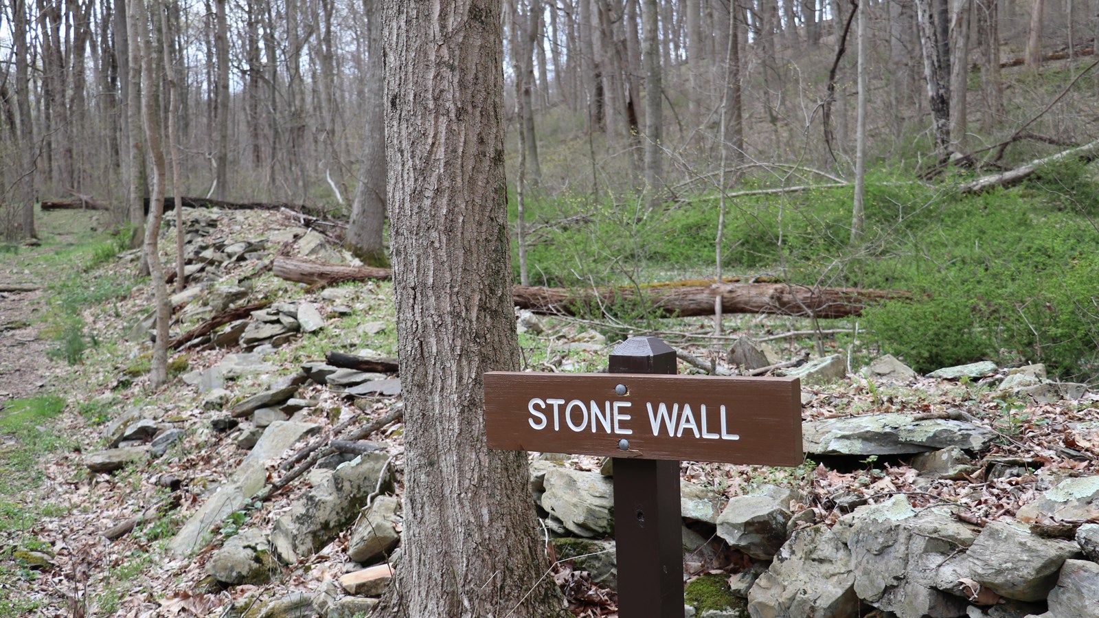 A brown, wooden sign reading 