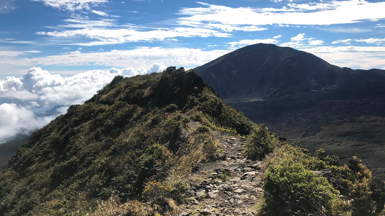 a rocky trail follows a ridgeline surrounded by shrubs.