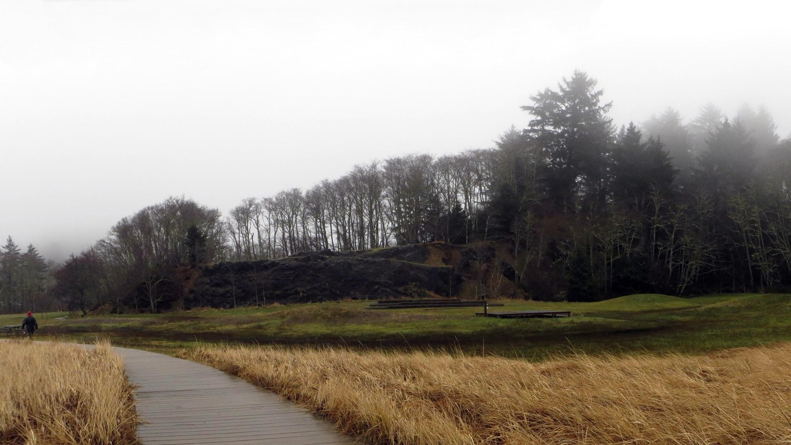 A paved trail cuts through a grassy field bordered by trees on the right