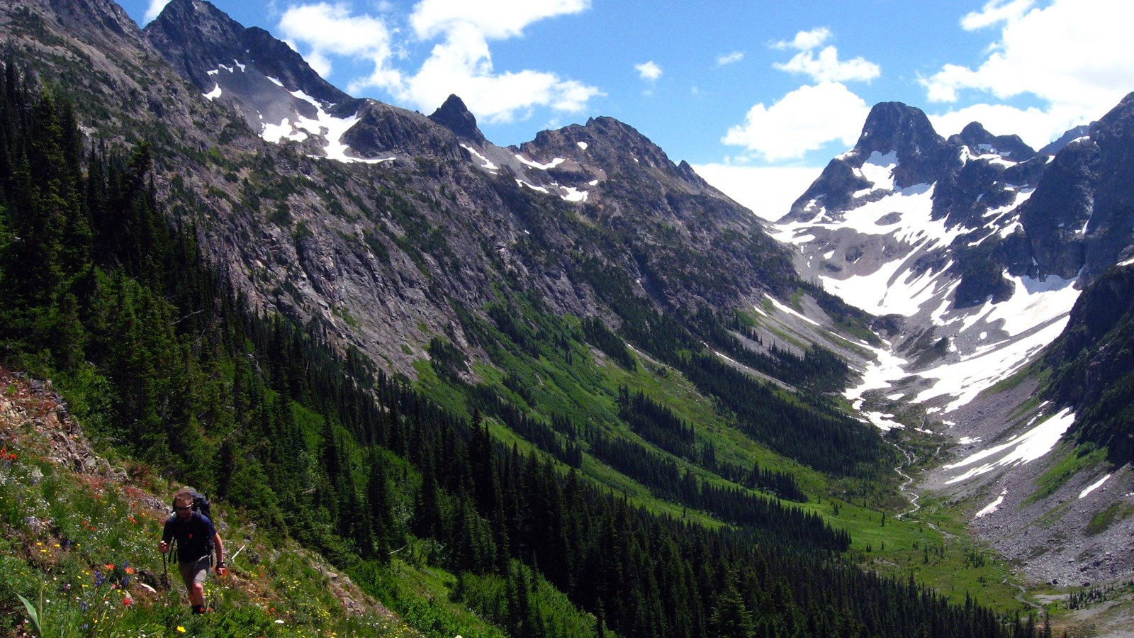 A hiker on a trail in a meadow full of wildflowers with mountains in the distance.