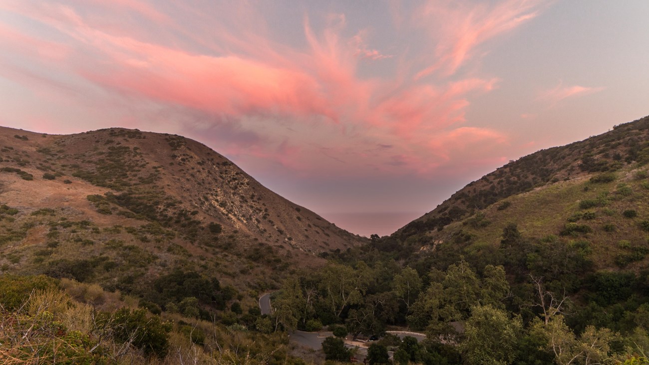 Pink sunset over the ocean from a view within Solstice Canyon.
