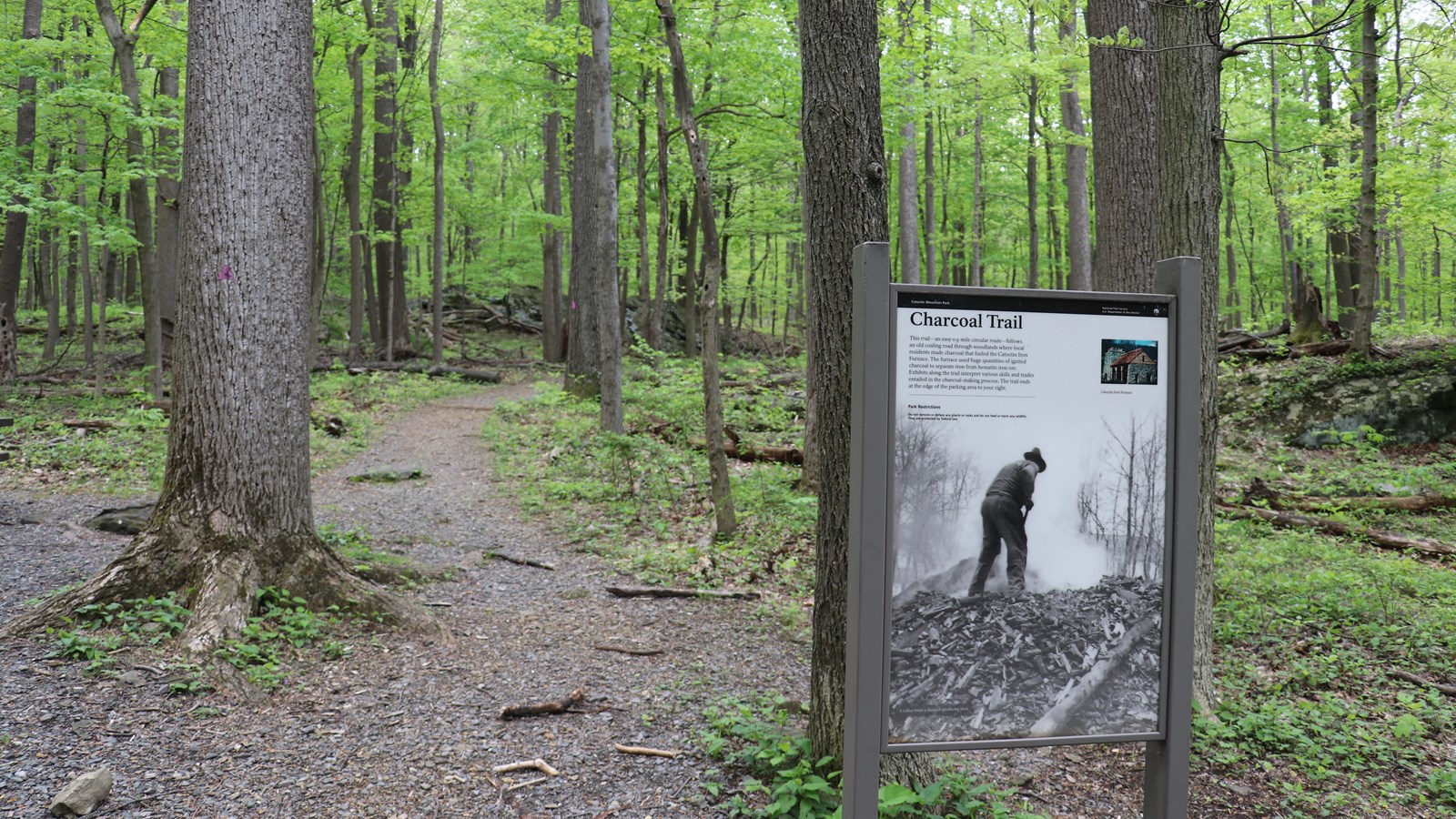 A tall wayside panel next to a forested trail.
