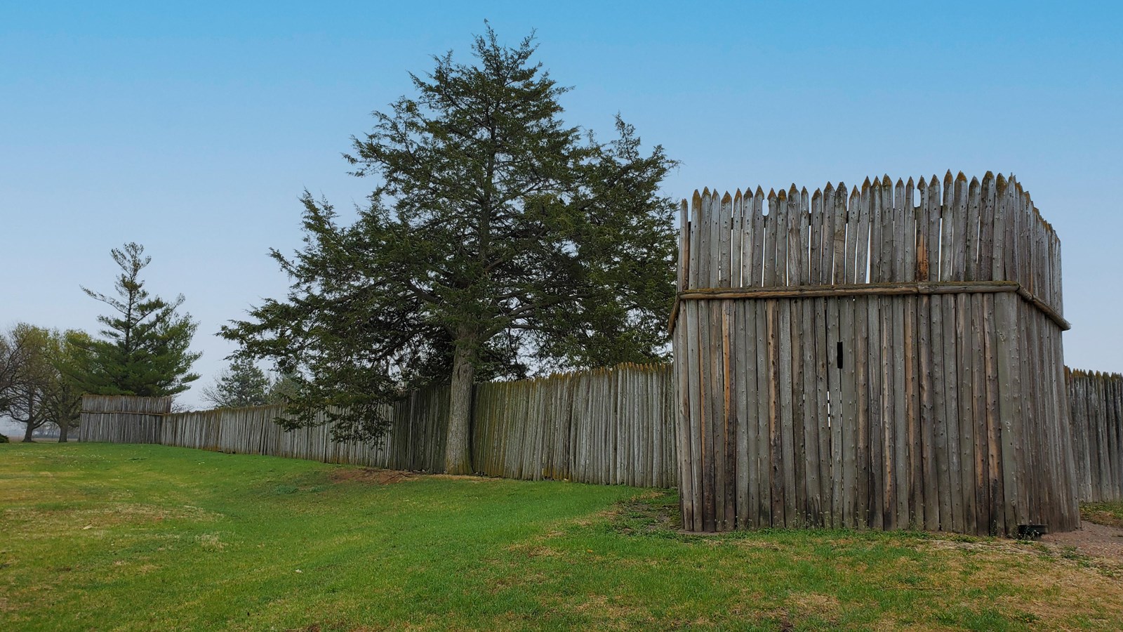Wood stockade twice the height of a person with evergreen tree beside.
