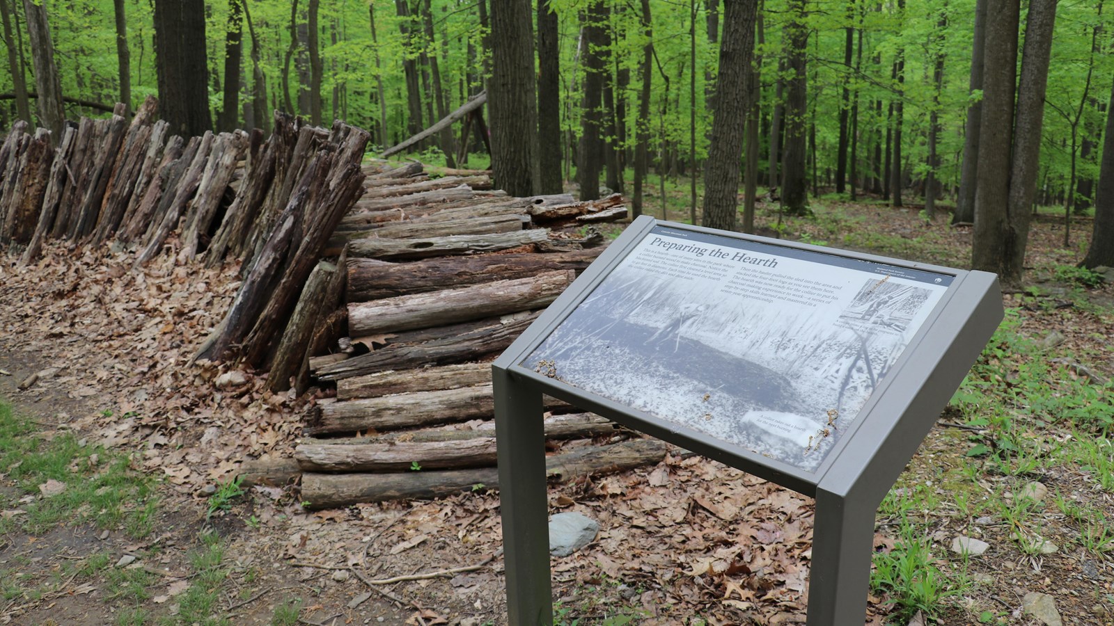 A forest clearing with a ring of stacked logs surrounding it.