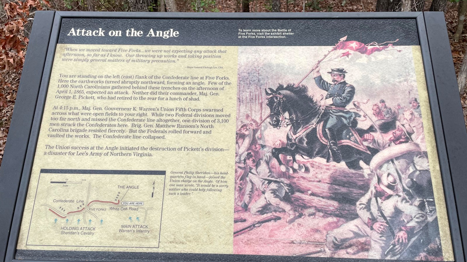 Close-up a wayside