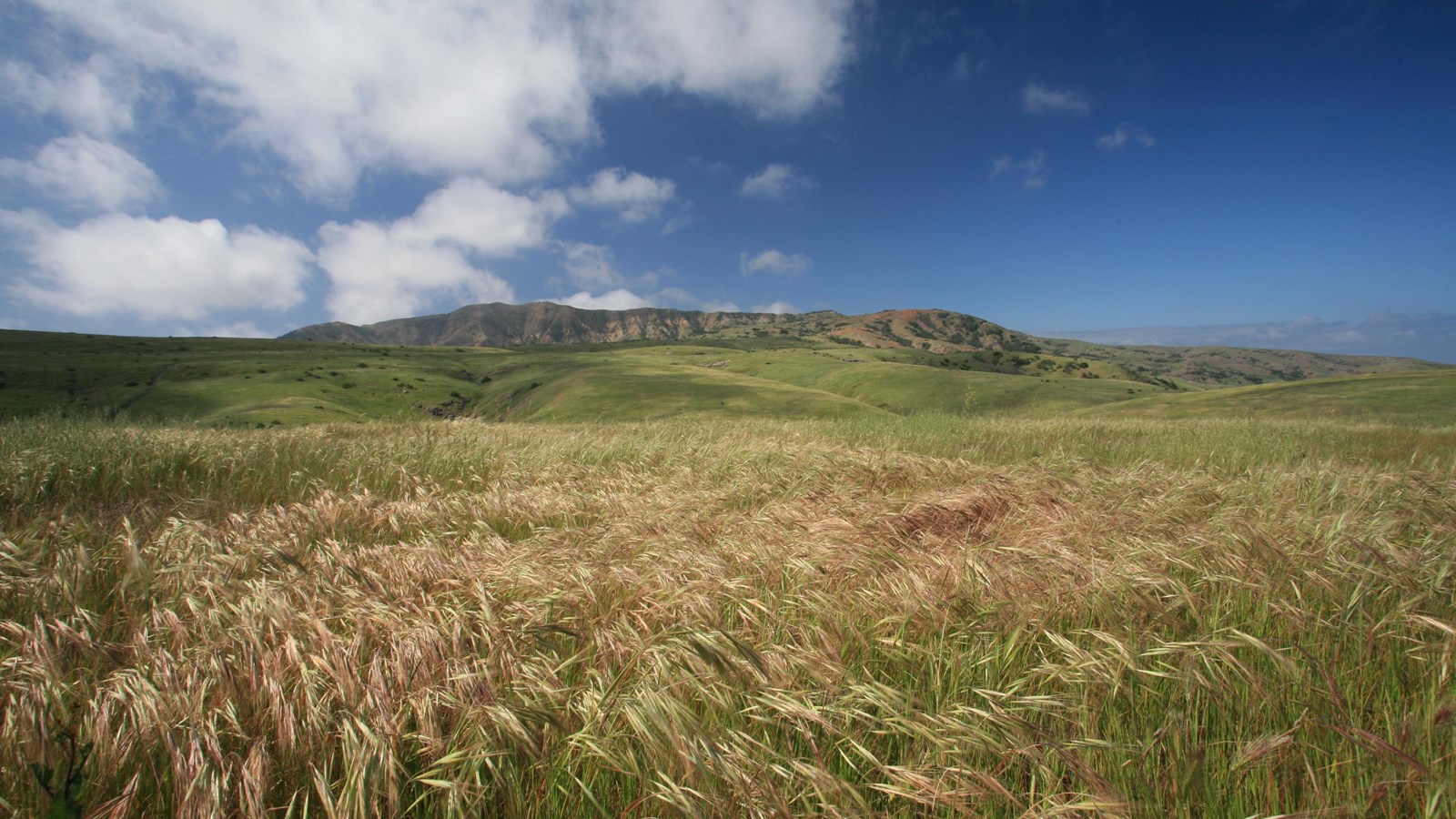 High ridge rising above grasslands.