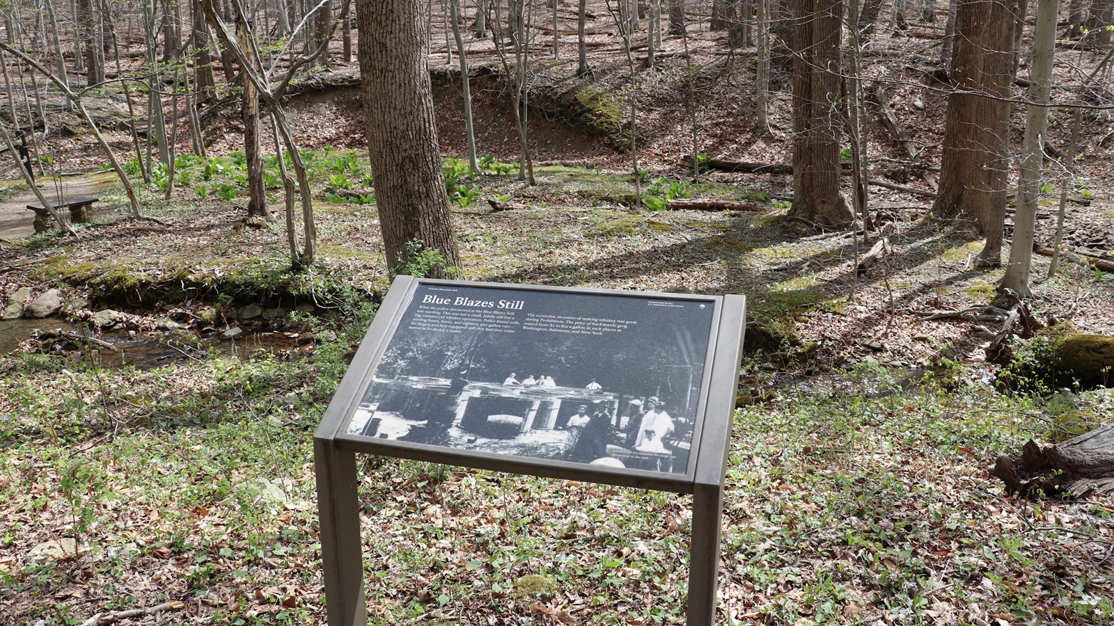 A wayside panel in a forest along a stream, describing the historic whiskey still.