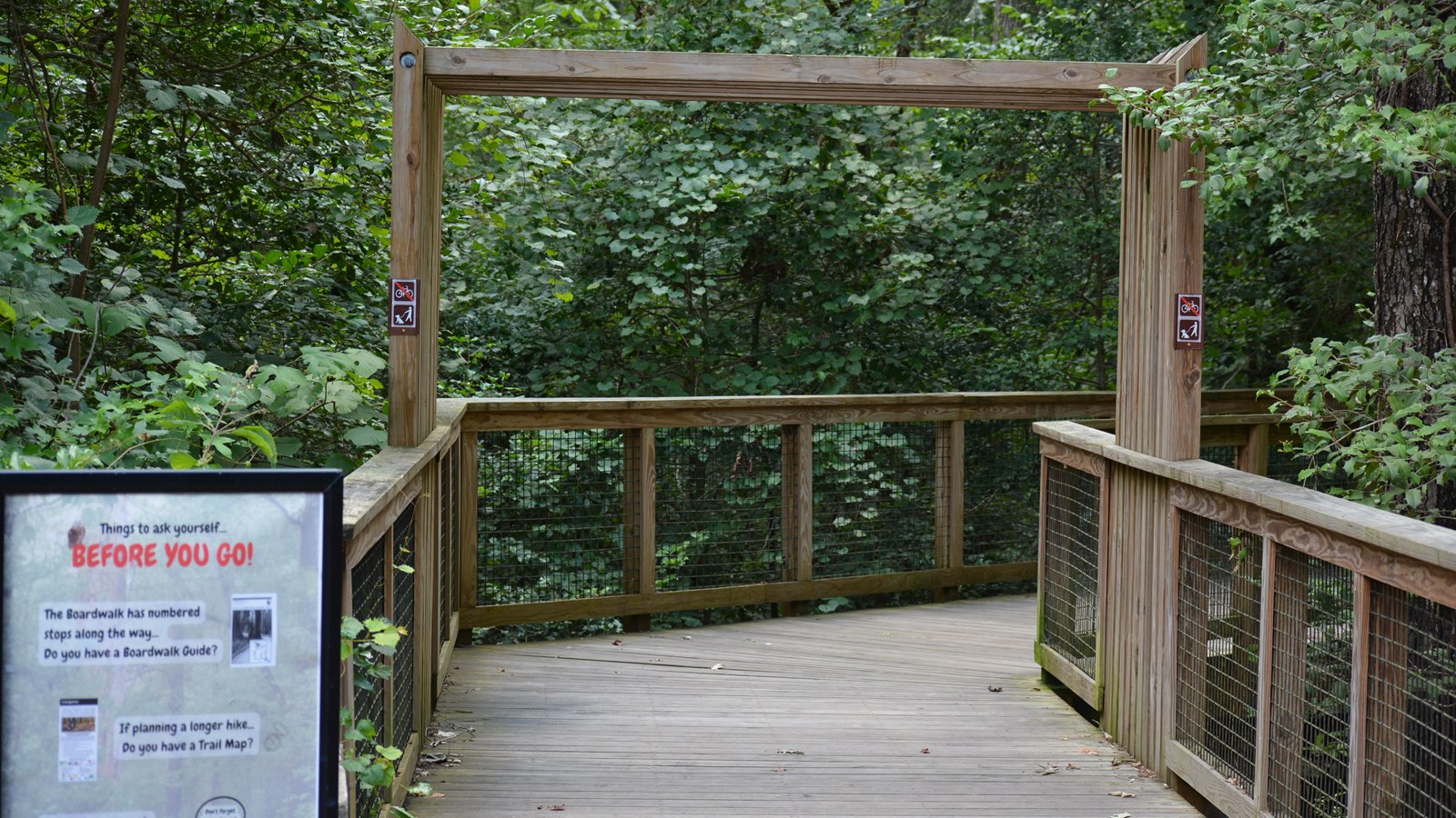 A wooden pathway/trail leading into a forest