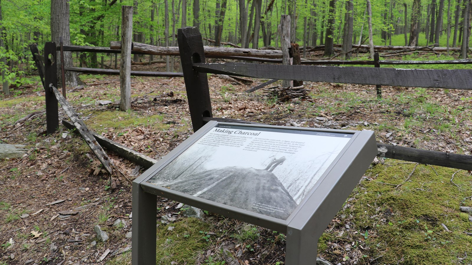 A wayside panel next to a clearing surrounded by a wooden fence.