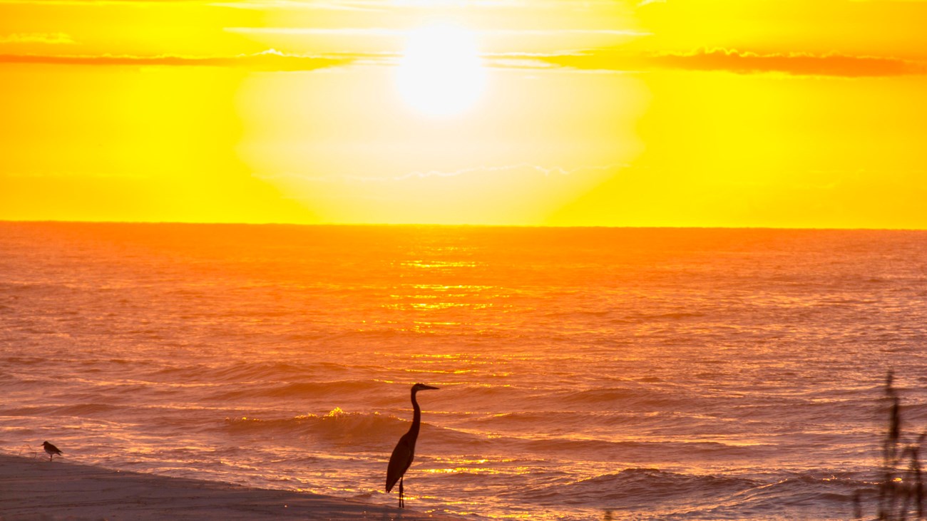 Sunrise with water
